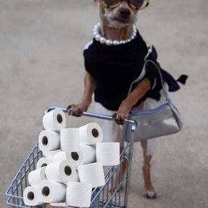 Meet your Posher, Christine